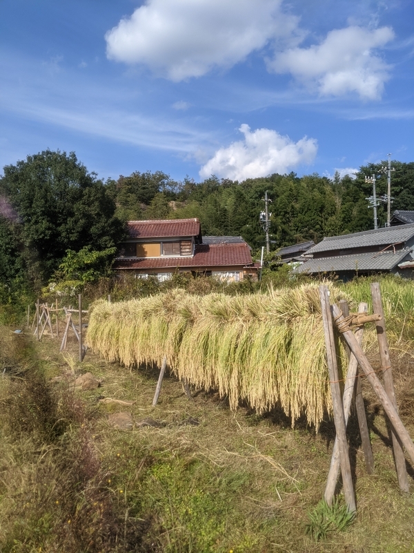 f:id:nagaraeco:20211024182324j:plain