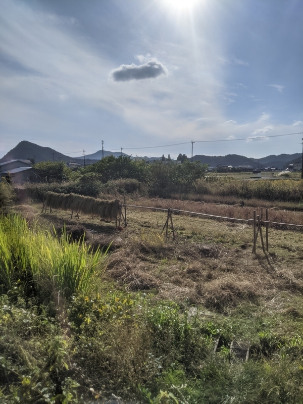 f:id:nagaraeco:20211024182453j:plain