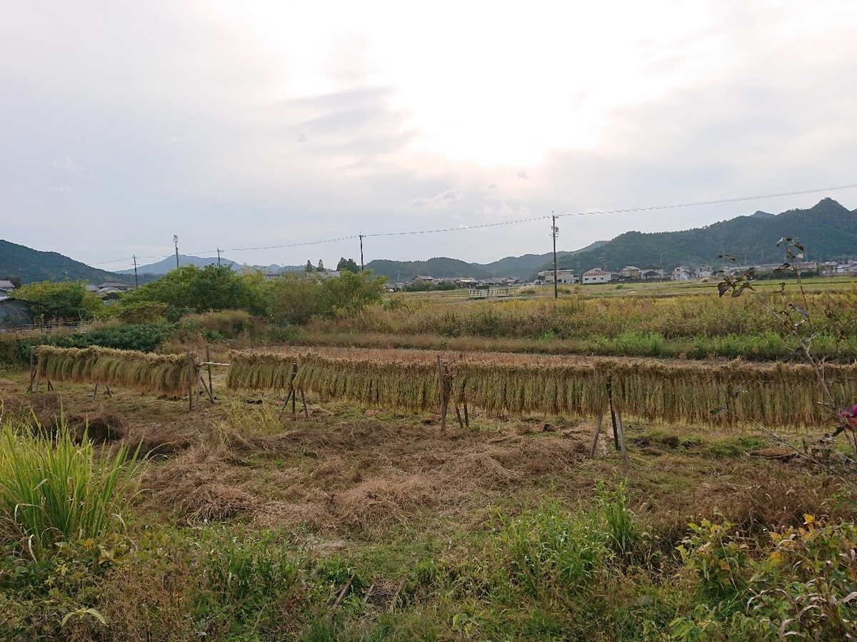 f:id:nagaraeco:20211024183255j:plain