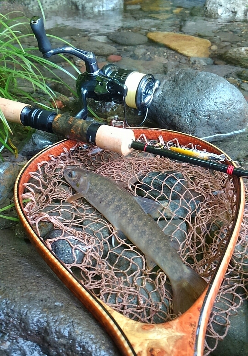 美品　19 ヴァンキッシュ　C2000SHG シマノ　エリアトラウト　ティモン Vanquish C2000SHG | 夫婦で釣り修行