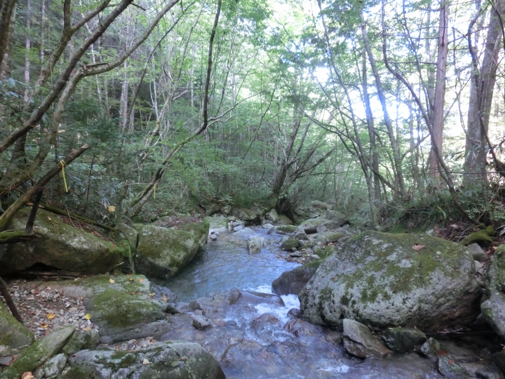 f:id:nagaratossi:20190916051946j:plain f:id:nagaratossi:20190916051946j:plain