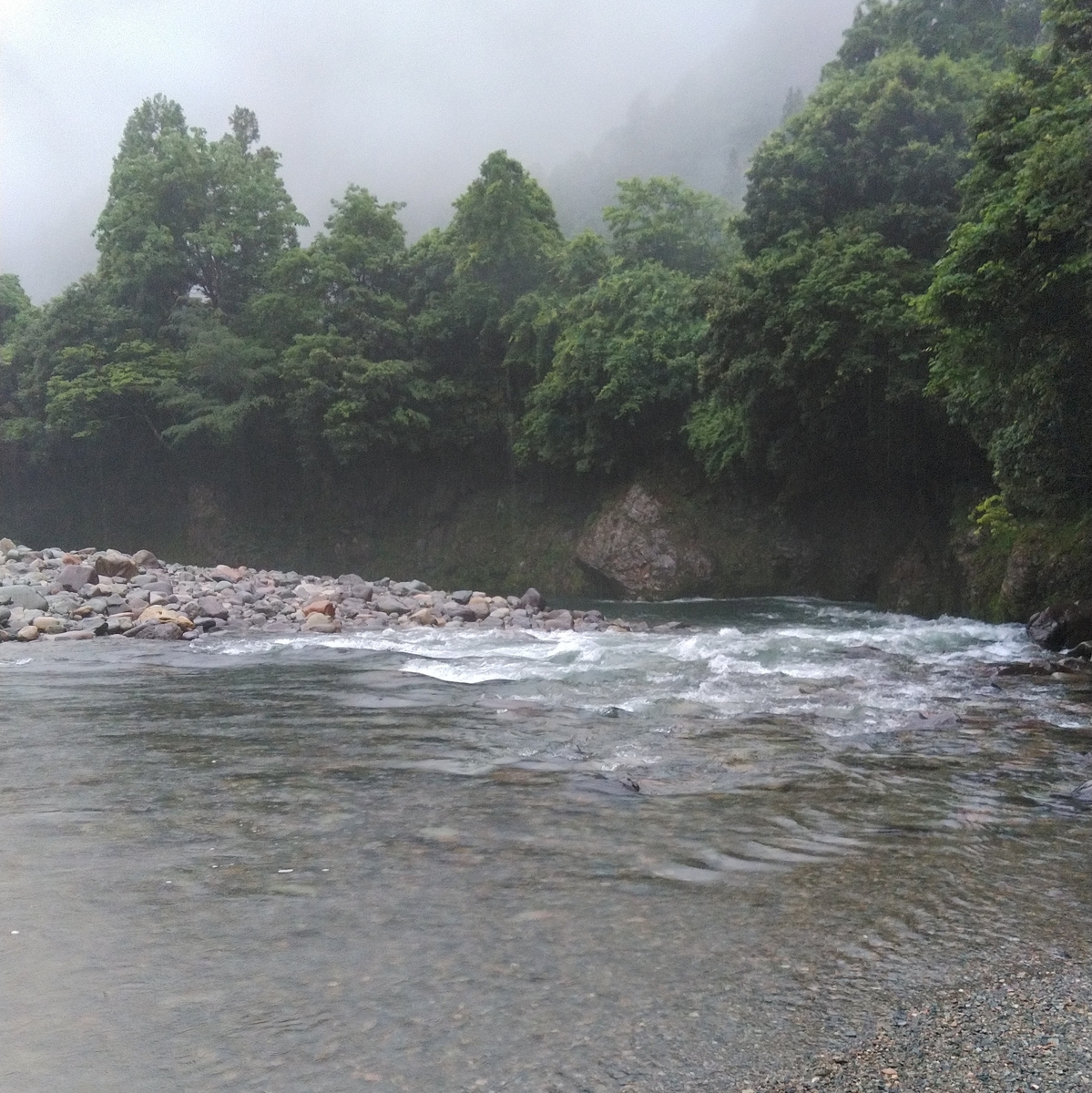 f:id:nagaratossi:20200613145329j:plain