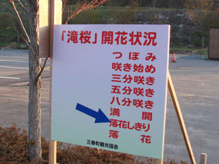 落花しきり