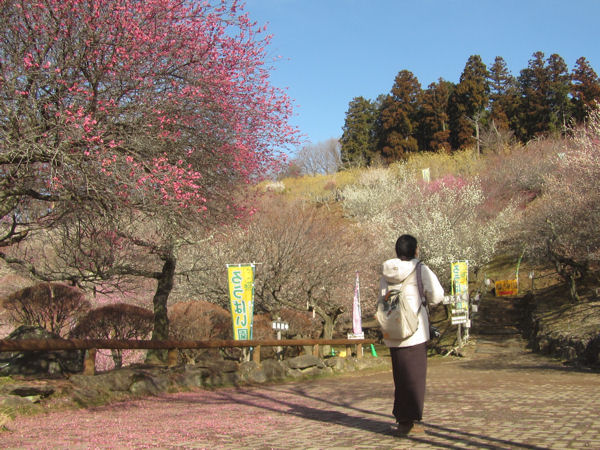 梅園