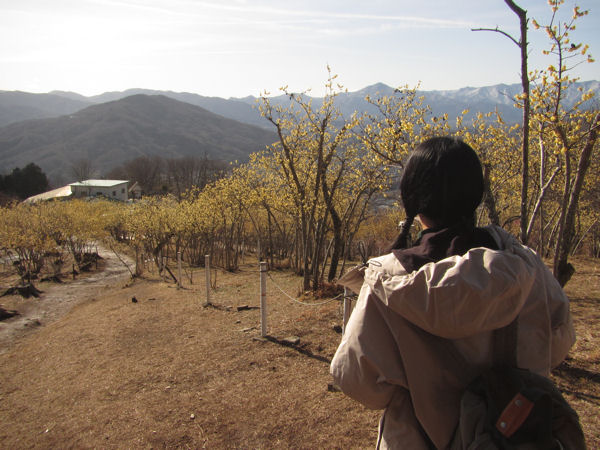 山頂近く