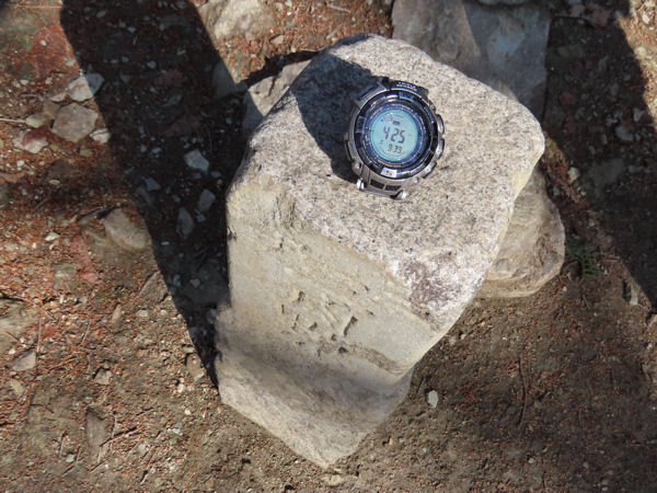 宝登山山頂は標高497m