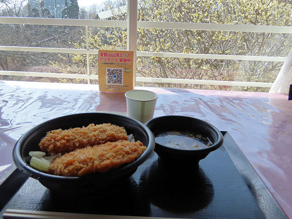 わらじかつ丼と蝋梅