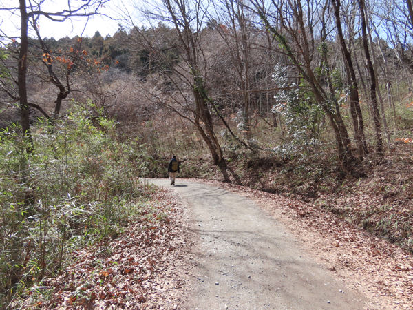 下山