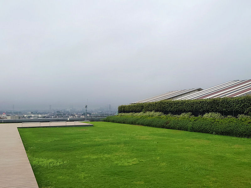 屋上庭園