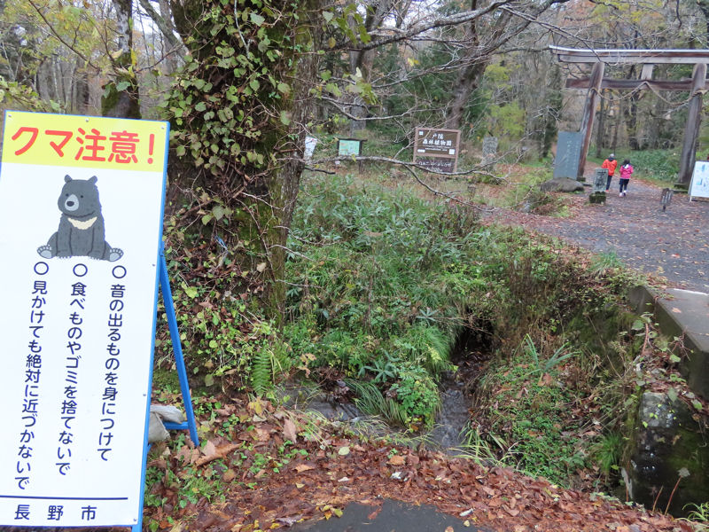 クマ注意看板かわいい