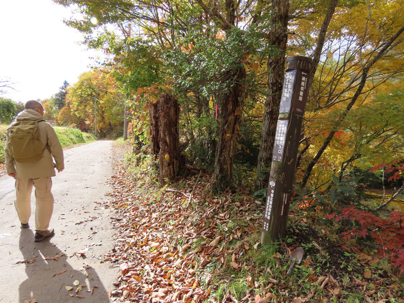 山道ぽくなってきた
