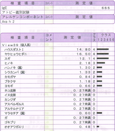 アレルギー検査20240510