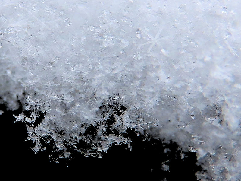 雪の結晶