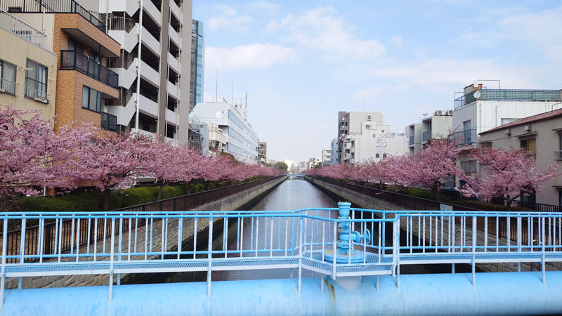 沢海橋