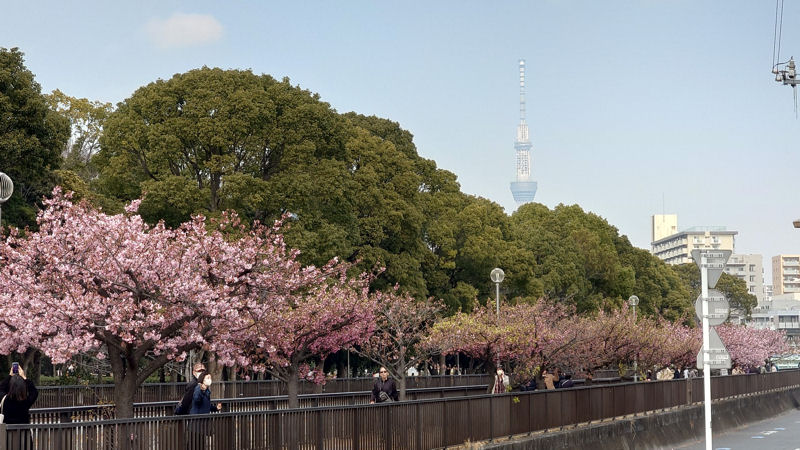 豊木橋