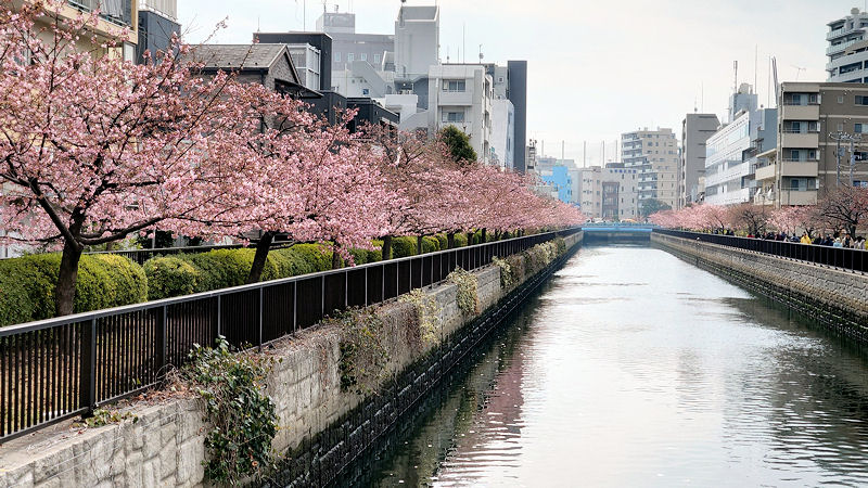 大横橋