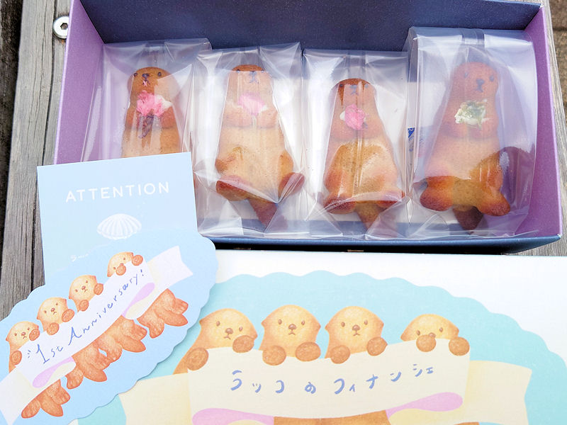 ラッコのフィナンシェ