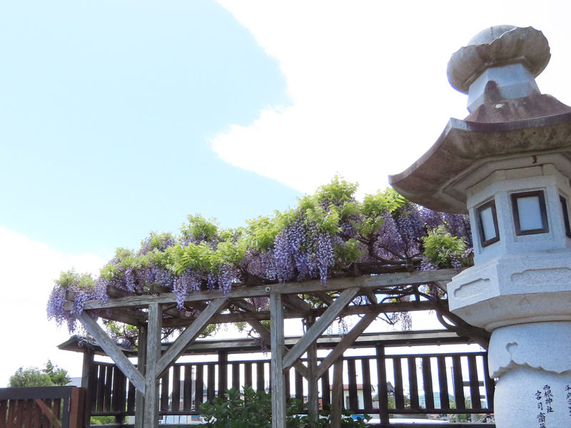 西根神社