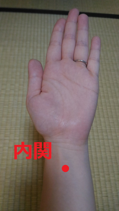 胃腸風邪 流行ってます 吐き気や嘔吐に効くツボ 住吉区のママ鍼灸師 えみすけのブログ