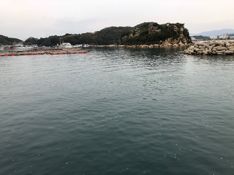 f:id:nagasaki_hermit:20190322103747j:plain