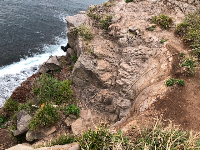 f:id:nagasaki_hermit:20190428224956j:plain