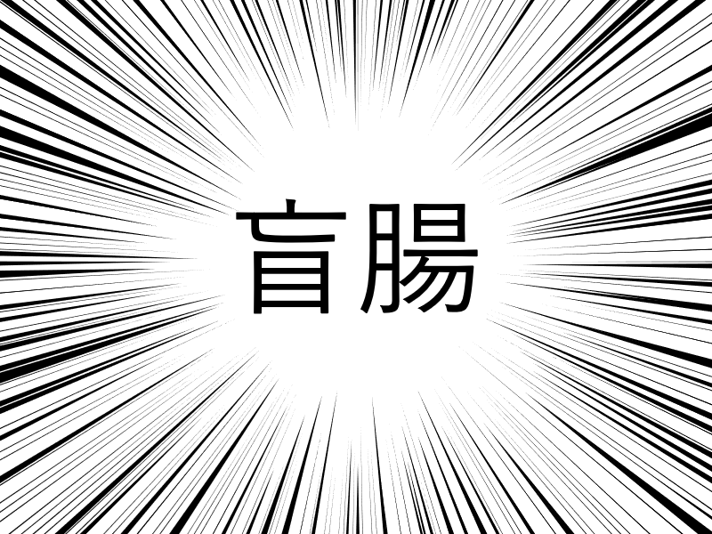 f:id:nagasaki_musio:20181230222630p:plain f:id:nagasaki_musio:20181230222630p:plain
