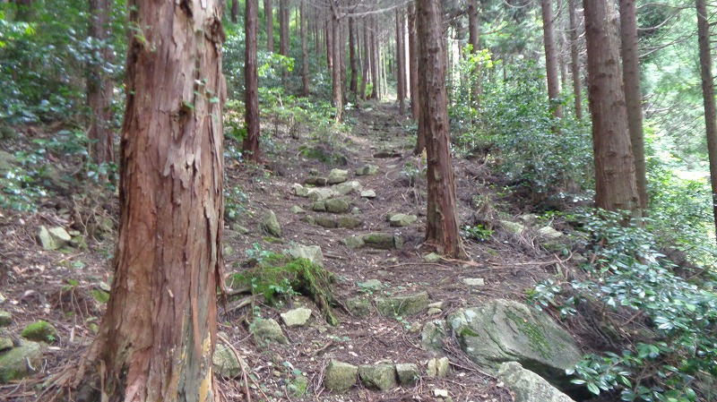 f:id:nagasakimie:20200720214011j:plain