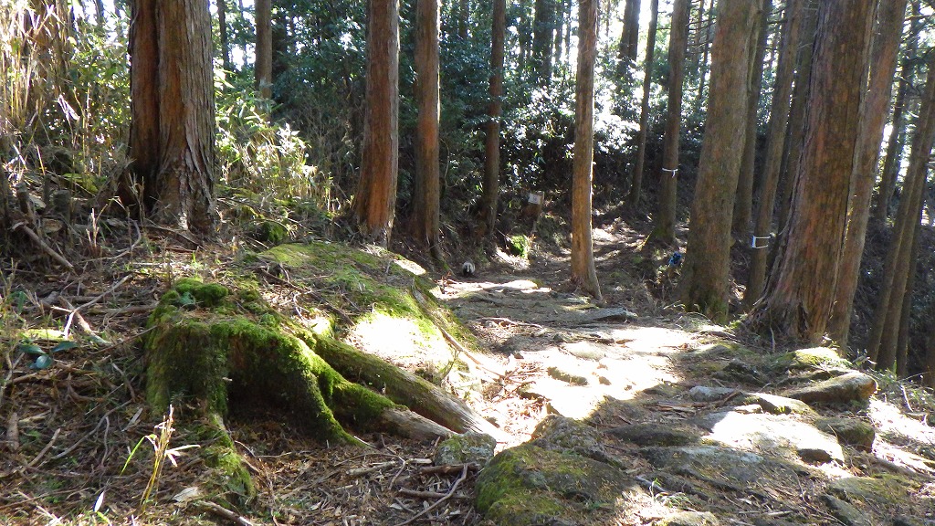 f:id:nagasakimie:20201206212305j:plain