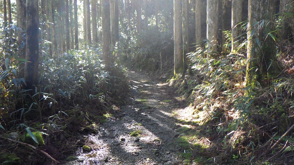 f:id:nagasakimie:20201206221614j:plain
