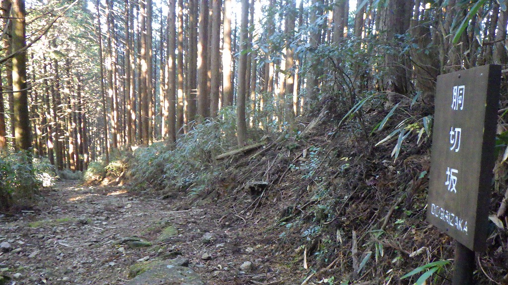 f:id:nagasakimie:20201206222014j:plain