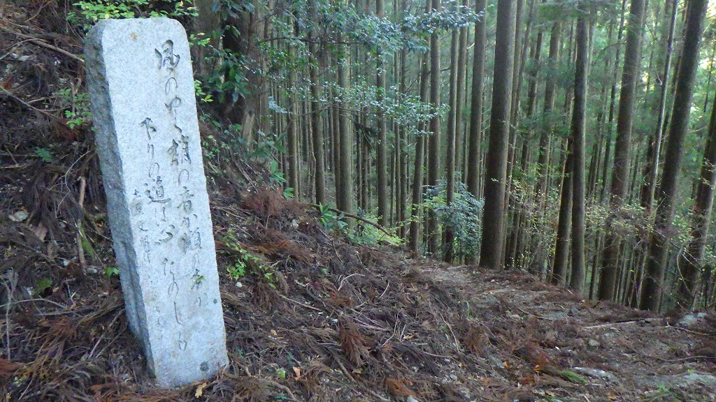f:id:nagasakimie:20201206222654j:plain