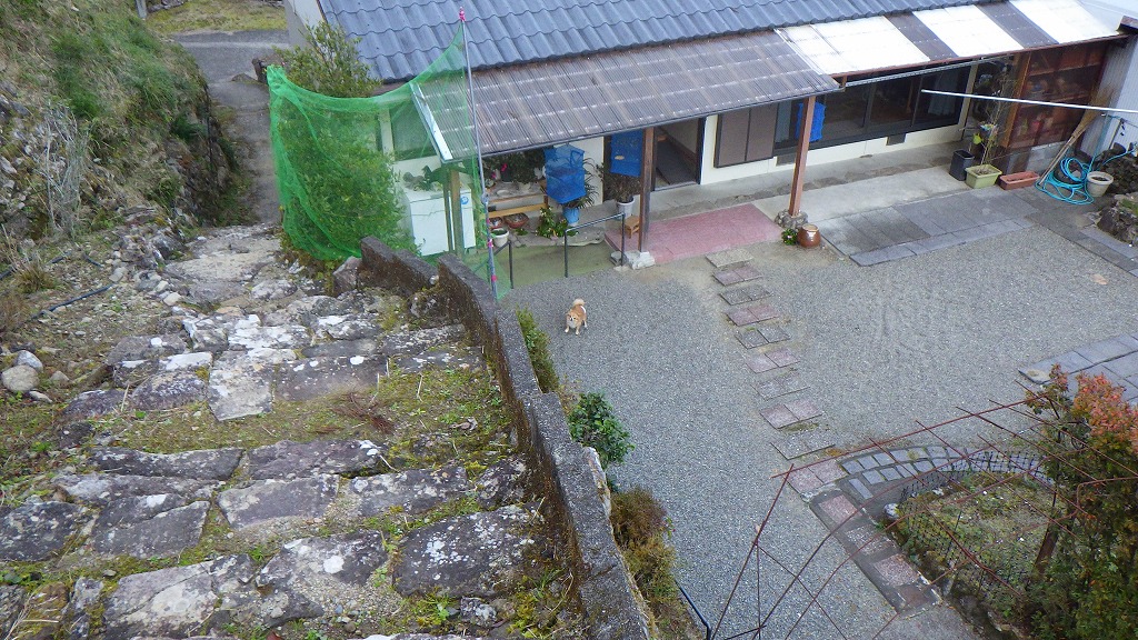 f:id:nagasakimie:20201206223657j:plain