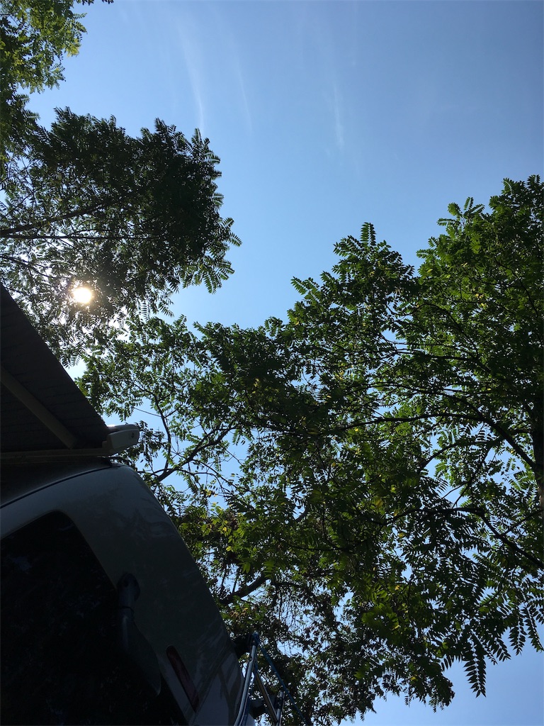 f:id:nagasawa0129:20190812084930j:image f:id:nagasawa0129:20190812084930j:image