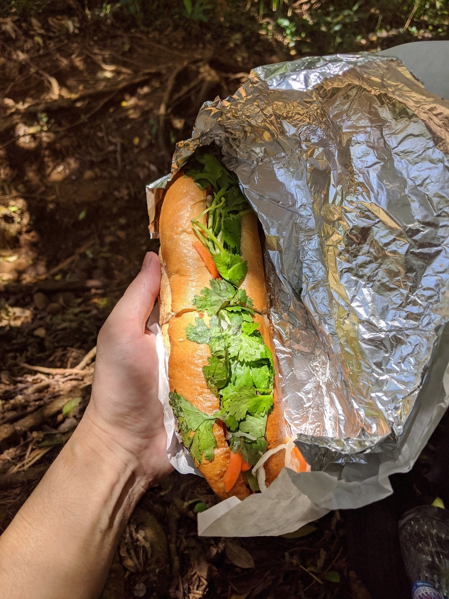 f:id:nagatafa:20200511192853j:plain