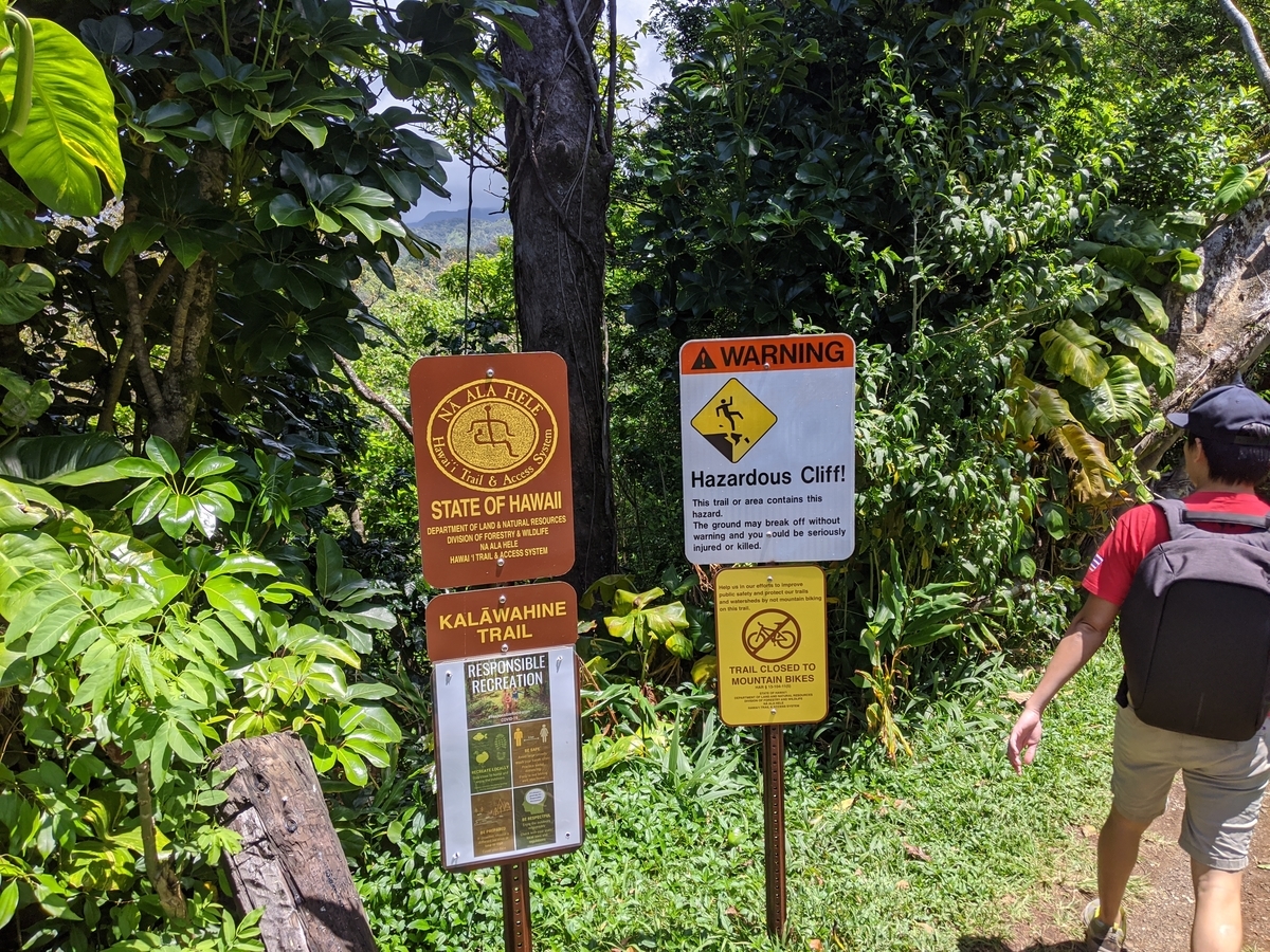 f:id:nagatafa:20200511192854j:plain