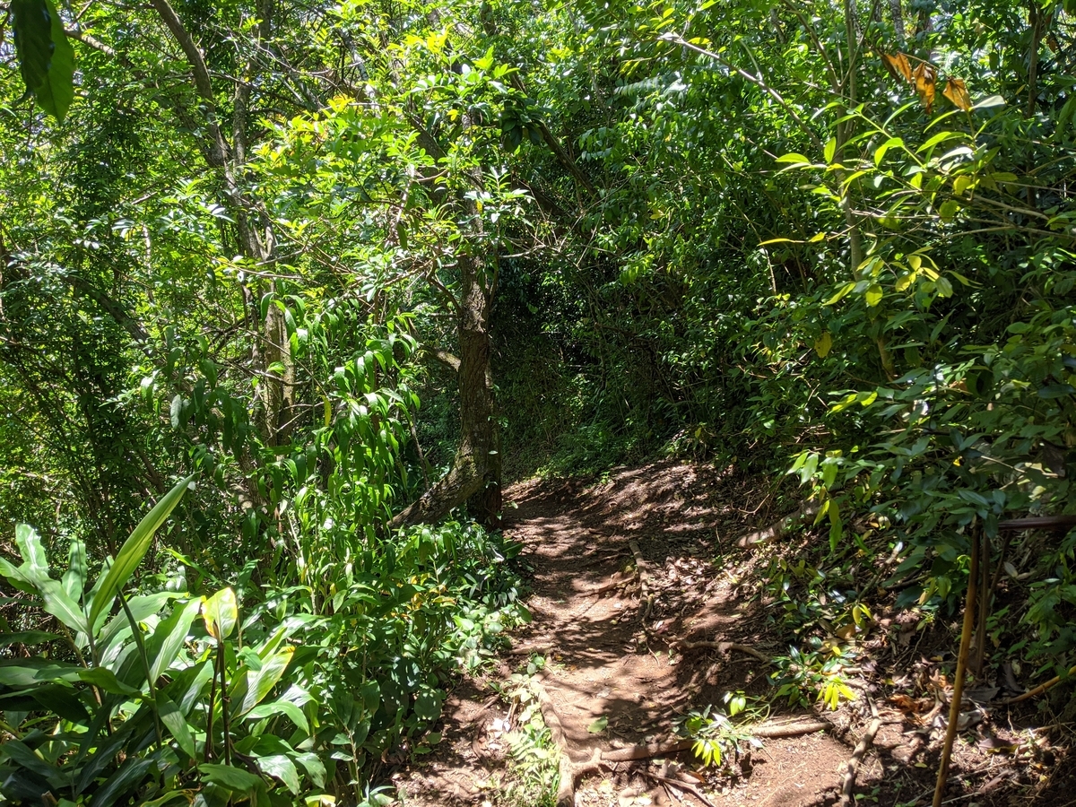 f:id:nagatafa:20200511193032j:plain