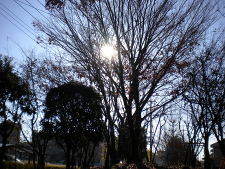f:id:nagatani:20091206095206j:image