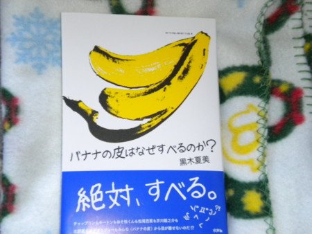 f:id:nagatani:20100421163420j:image
