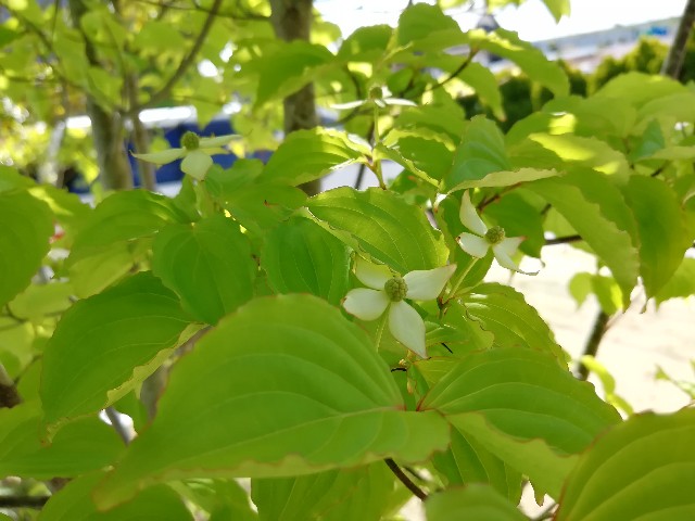 f:id:nagatchi-fm:20210426110208j:image f:id:nagatchi-fm:20210426110208j:image