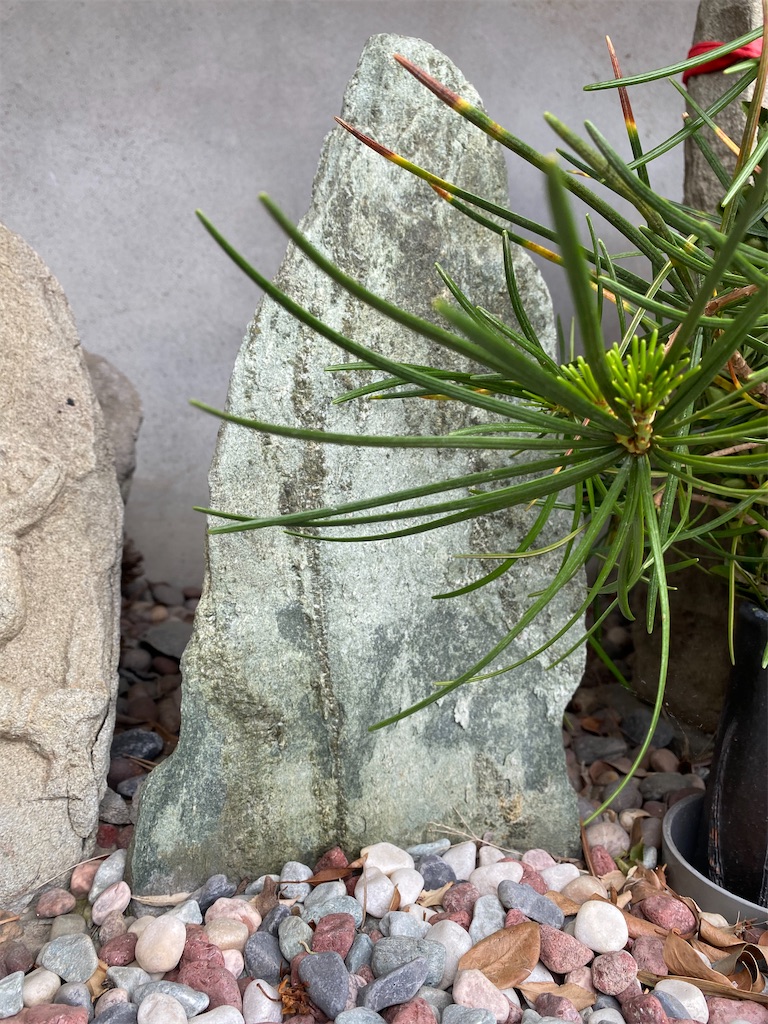 f:id:nagatorowo2:20230730183619j:image