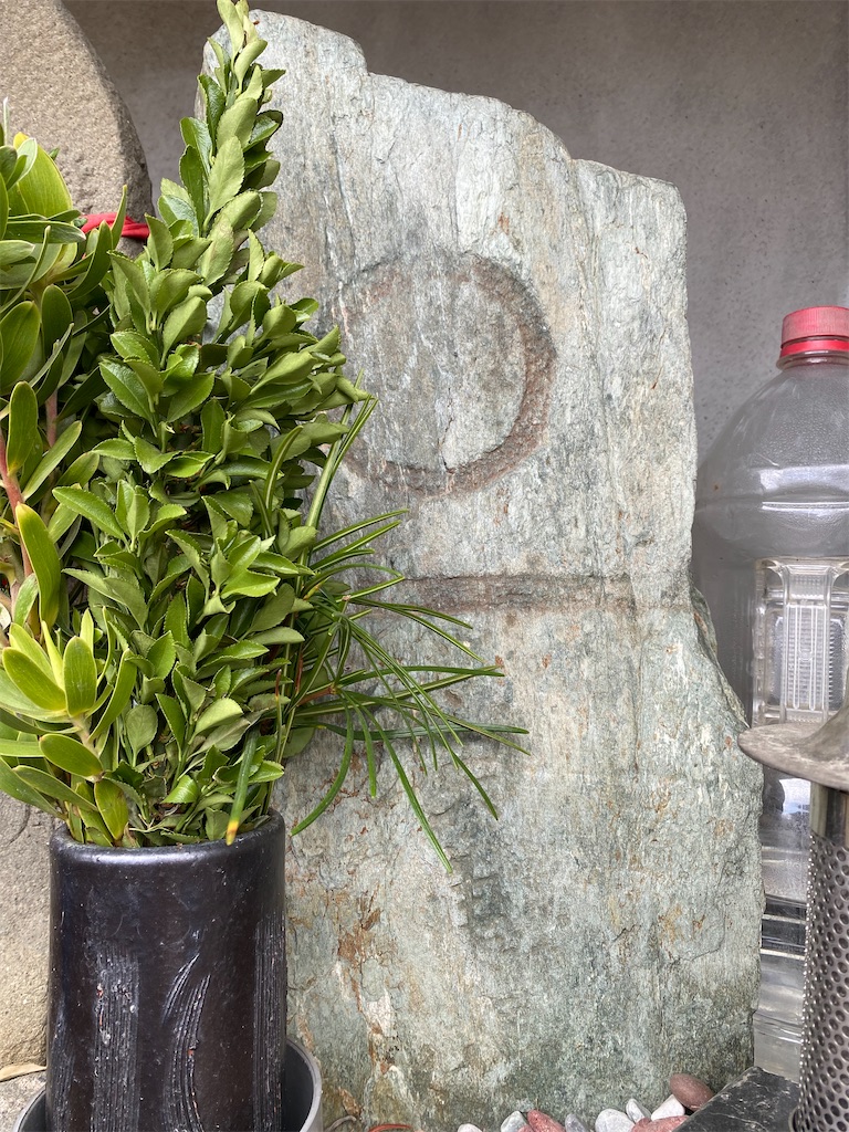 f:id:nagatorowo2:20230730183622j:image