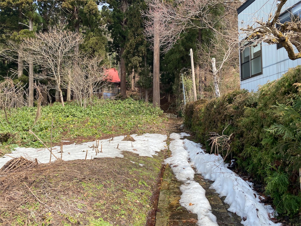 f:id:nagatorowo2:20230731143338j:image