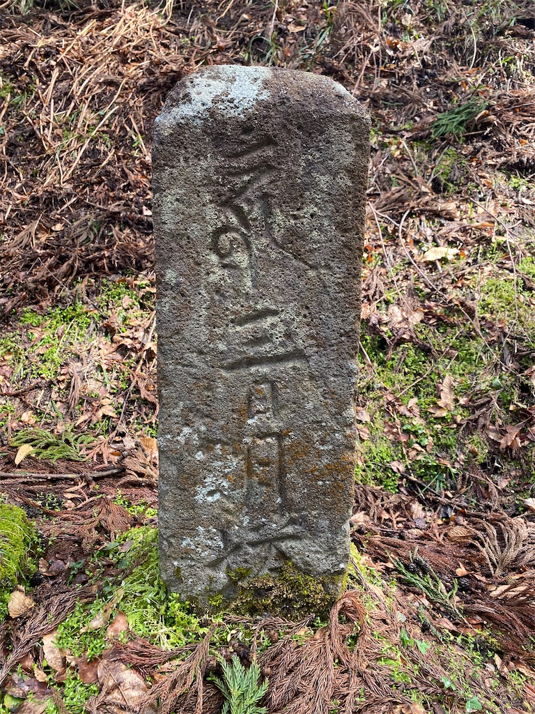 f:id:nagatorowo2:20230731143426j:image