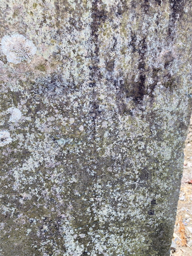 f:id:nagatorowo2:20230809143600j:image