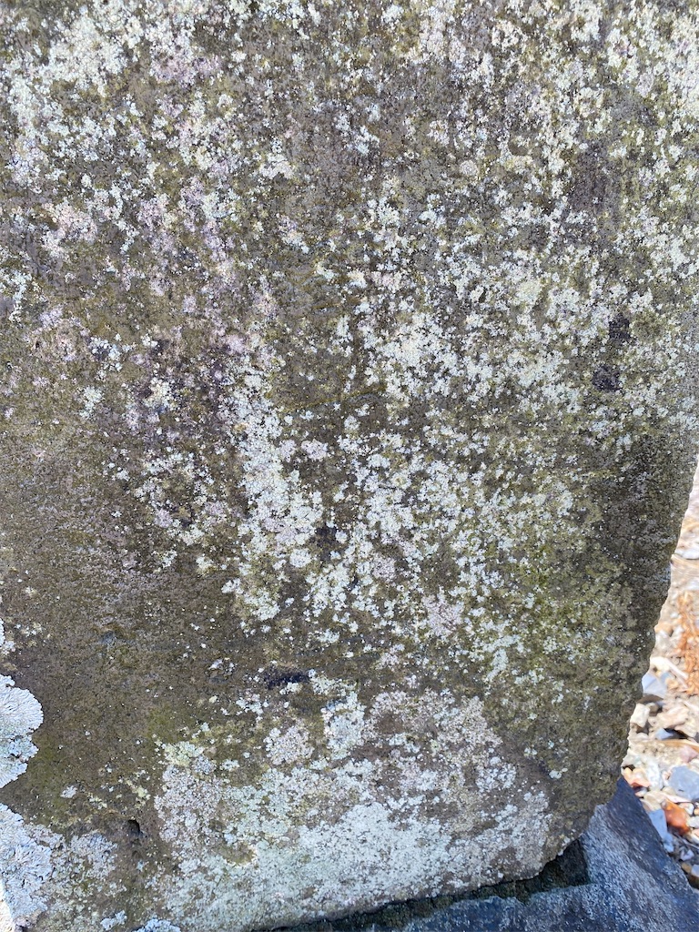 f:id:nagatorowo2:20230809143604j:image f:id:nagatorowo2:20230809143604j:image