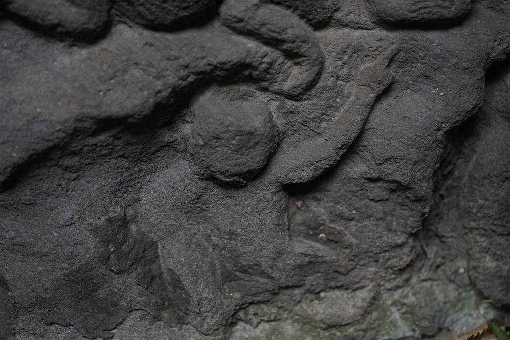 f:id:nagatorowo2:20231208233748j:image