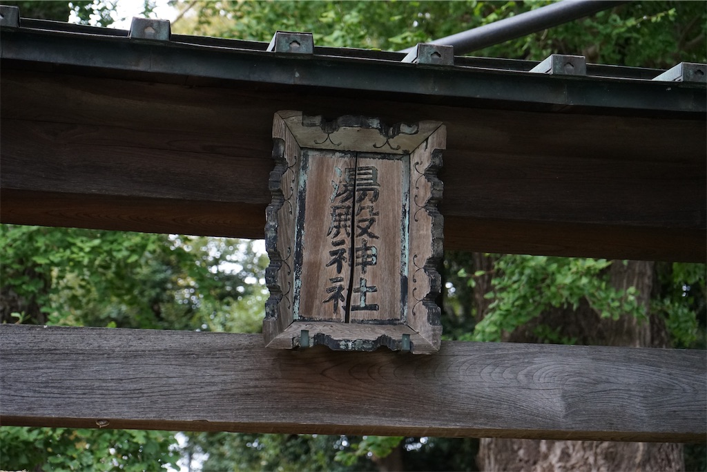 f:id:nagatorowo2:20231208233813j:image