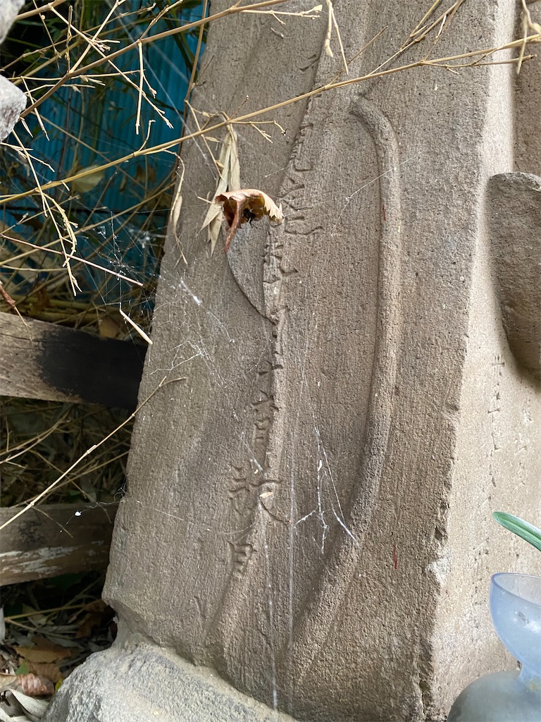 f:id:nagatorowo2:20231208235013j:image