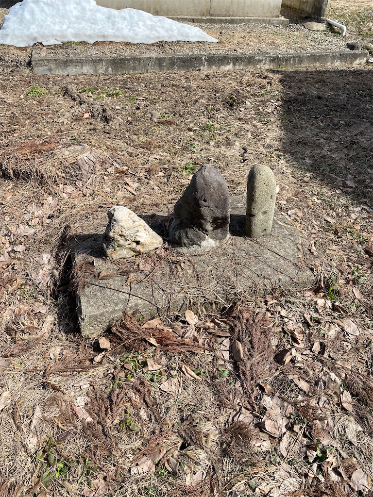 f:id:nagatorowo2:20231210155114j:image