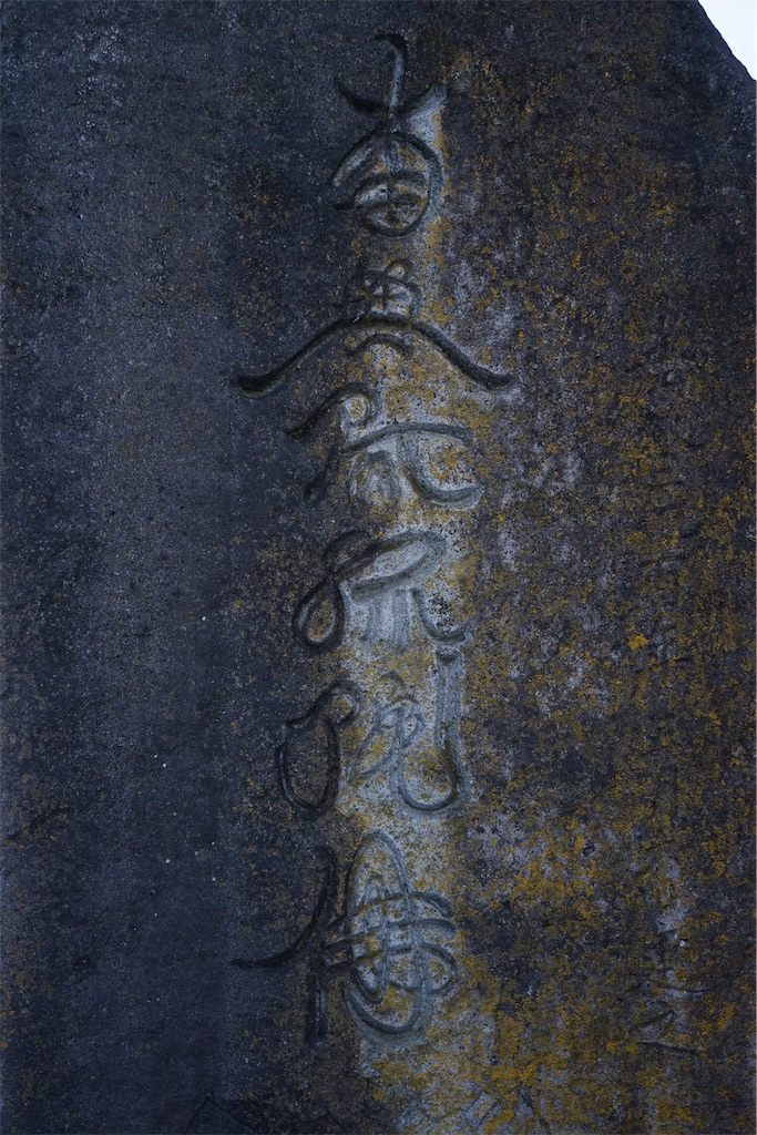 f:id:nagatorowo2:20240126155819j:image